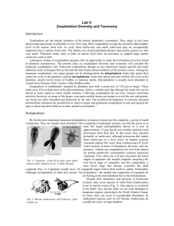 Lab 5: Zooplankton diversity and taxonomy
