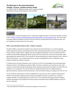 The Blind Spot in the Green Revolution: Temples, Terraces, and