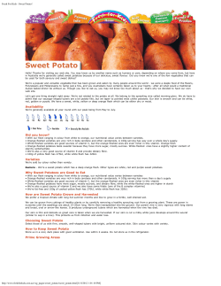 Fresh For Kids - Sweet Potato!