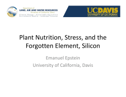 Plant Nutrition, Stress, and the Forgotten Element, Silicon