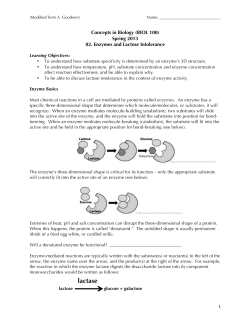 02 Enzymes and Lactose Intolerance