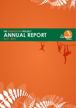 annual report - The Orangutan Project