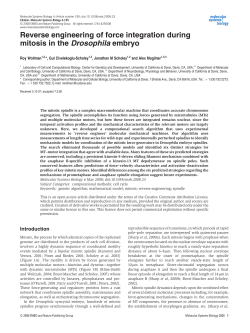 Reverse engineering of force integration during mitosis in the