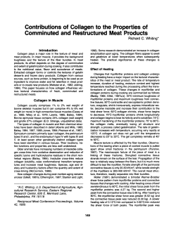 Contributions of Collagen to the Properties of Comminuted and