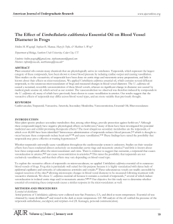 The Effect of Umbellularia californica Essential Oil on Blood Vessel