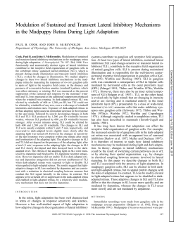Modulation of Sustained and Transient Lateral Inhibitory