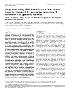 Long non-coding RNA identification over mouse brain development