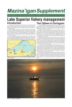 Lake Superior fishery management