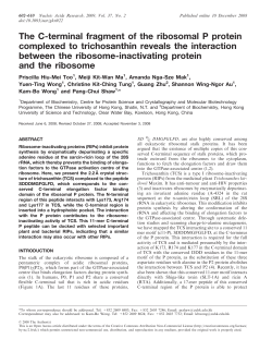 The C-terminal fragment of the ribosomal P protein complexed to