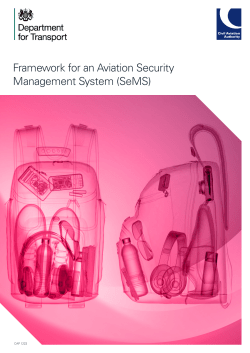 Framework for an Aviation Security Management System (SeMS)