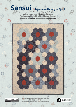 Sansui- Japanese Hexagon Quilt