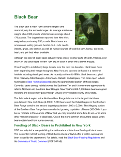 Large - New York State Envirothon