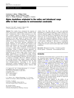 Alpine dandelions originated in the native and introduced range