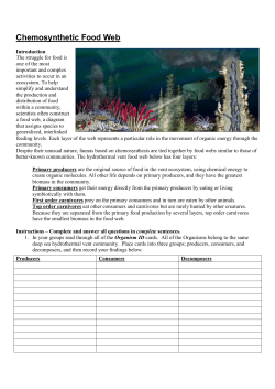Chemosynthetic Food Web