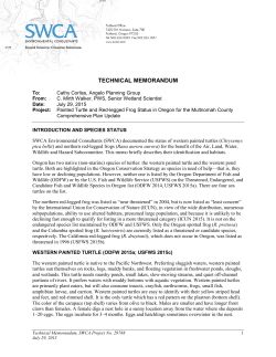 Painted Turtle Memorandum