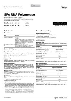 SP6 RNA Polymerase - Sigma
