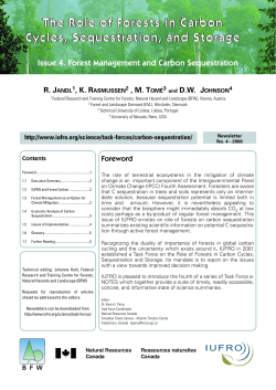 The Role of Forests in Carbon Cycles, Sequestration, and Storage