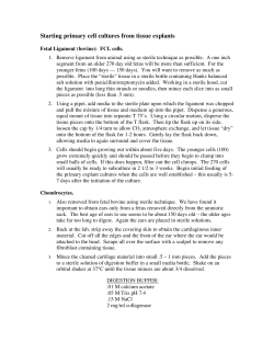 Starting primary cell cultures from tissue explants