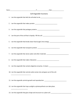 Cell Organelle Functions