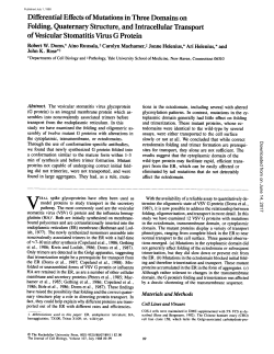 Differential Effects of Mutations in Three Domains on Folding