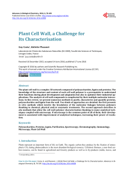 Plant Cell Wall, a Challenge for Its Characterisation