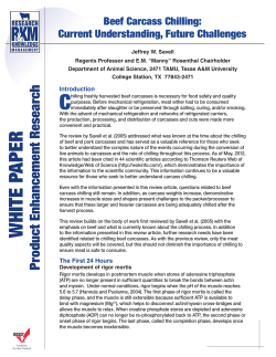 BeefCarcassChilling White Paper