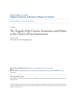Economics and Politics in the Choice of Price Instruments