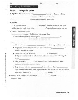 Section 2 The Digestive System