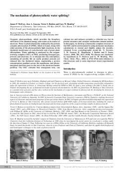 The mechanism of photosynthetic water splitting
