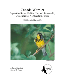 Canada Warbler - Vermont Center for Ecostudies