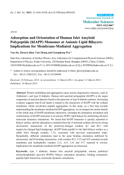 Adsorption and Orientation of Human Islet Amyloid Polypeptide