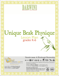 Unique Beak Physique - The Partnership in Education