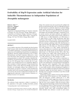 Evolvability of Hsp70 Expression under Artificial Selection for