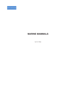 MARINE MAMMALS