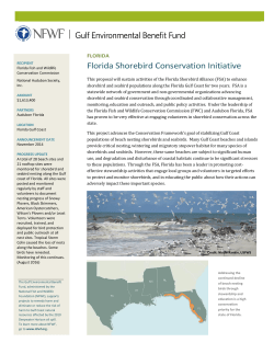 Florida Shorebird Conservation Initiative