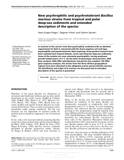 New psychrophilic and psychrotolerant Bacillus marinus strains from