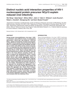 Distinct nucleic acid interaction properties of HIV