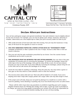Declaw Aftercare Instructions - Capital City Spay and Neuter Clinic