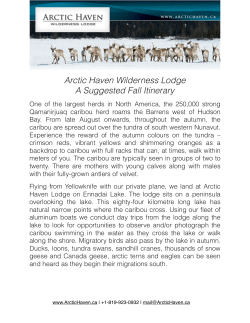 Arctic Haven Fall Itinerary