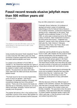 Fossil record reveals elusive jellyfish more than 500