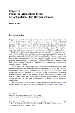 From the Atmosphere to the Mitochondrion: The Oxygen Cascade