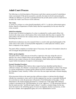 Adult Court Process
