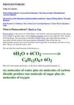 6H2 O + 6CO2 ---------