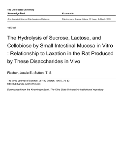The Hydrolysis of Sucrose, Lactose, and Cellobiose by Small