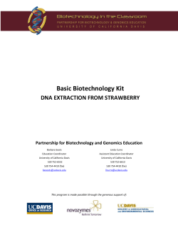 DNA Extraction from Strawberry - Partnership for Biotechnology and