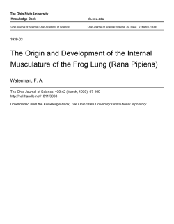 The Origin and Development of the Internal Musculature of the Frog