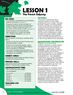 The Forest Odyssey