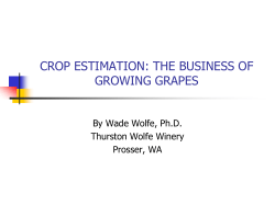CROP ESTIMATION: THE BUSINESS OF GROWING GRAPES