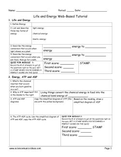 03_ Energy and Ecology (student notetaking sheet)