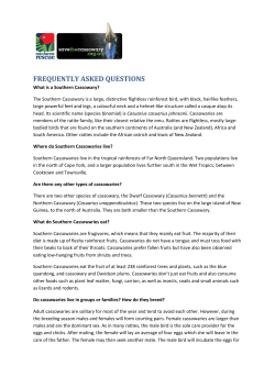 frequently asked questions